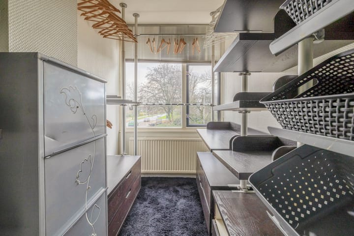 Foto 26 van Kogeldistel 2