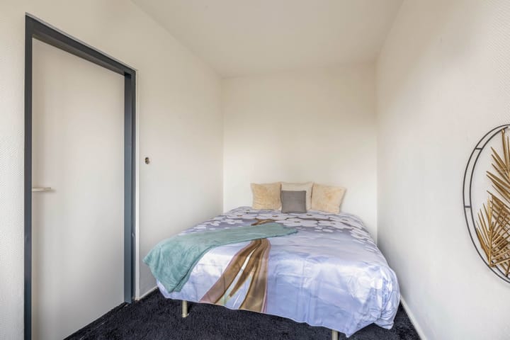 Foto 27 van Kogeldistel 2