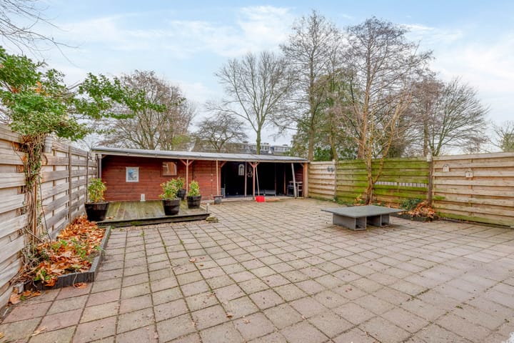 Foto 28 van Kogeldistel 2