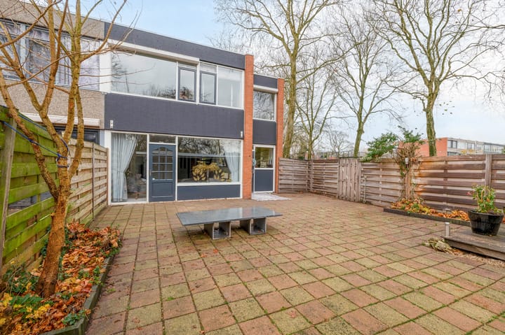 Foto 29 van Kogeldistel 2