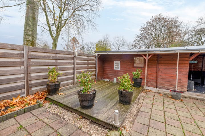 Foto 31 van Kogeldistel 2