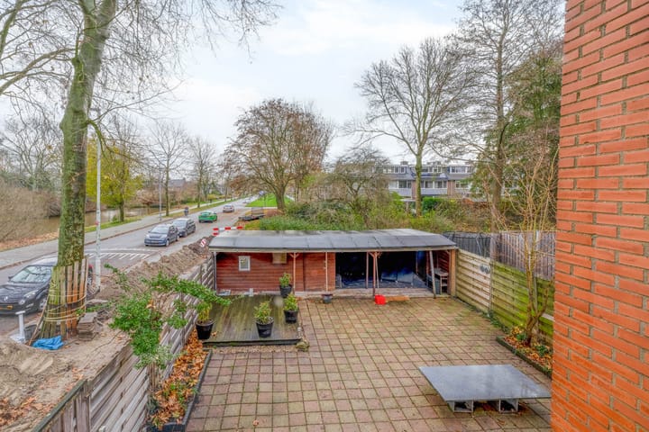 Foto 33 van Kogeldistel 2