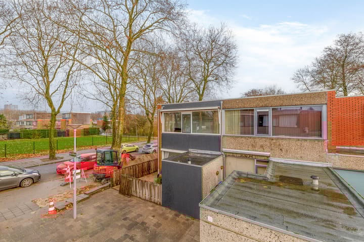 Foto 37 van Kogeldistel 2