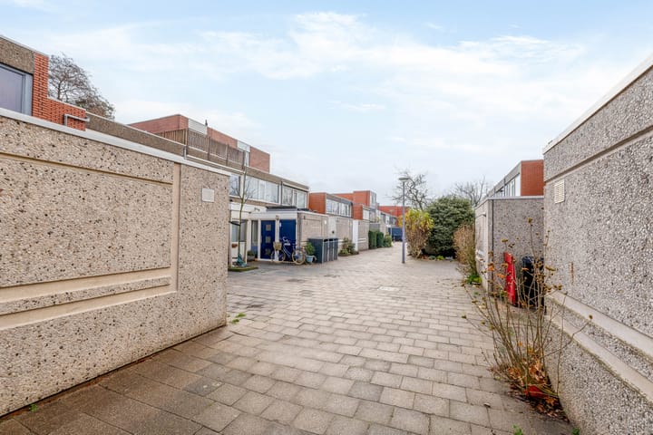 Foto 38 van Kogeldistel 2