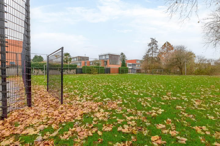 Foto 39 van Kogeldistel 2