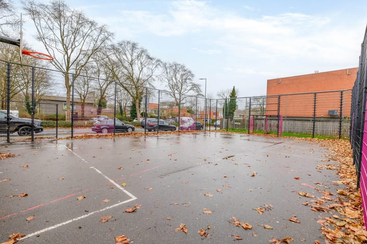 Foto 40 van Kogeldistel 2