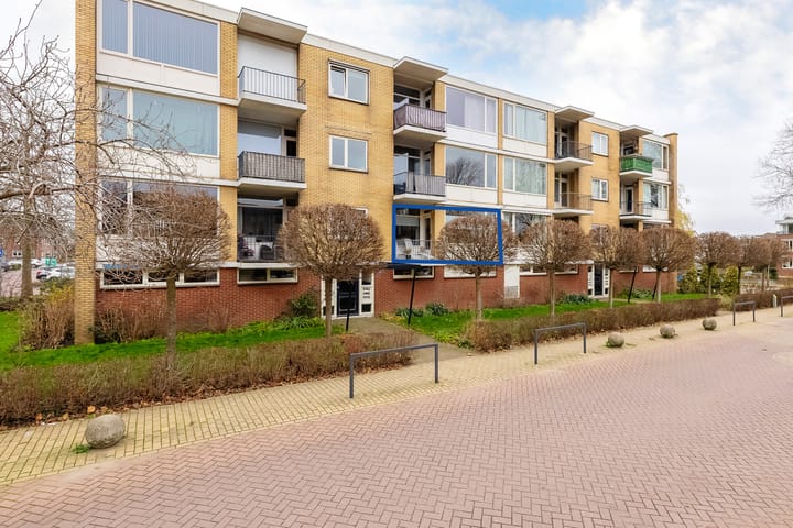 undefined main image