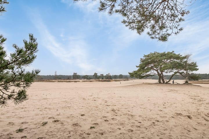 Photo 26 of Haverweerd 98