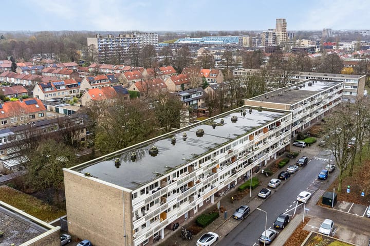 Photo 38 of Zangvogelweg 67