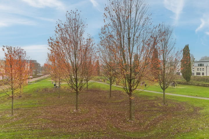 Foto 42 van Ketelven 180