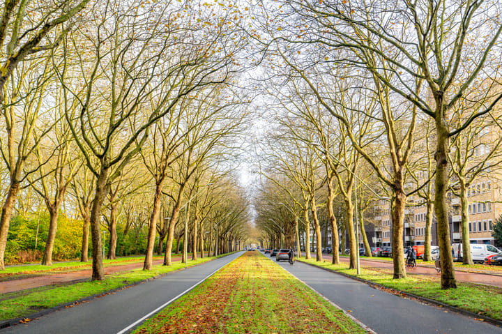 Photo 31 of Van Nijenrodeweg 653