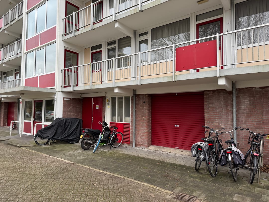 Foto 2 van Biesbosch