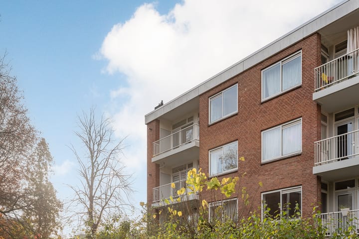 Foto 2 van Ennemaborg 93