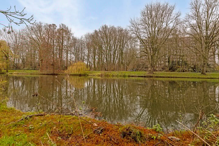 Foto 6 van Alkmaarstraat 255