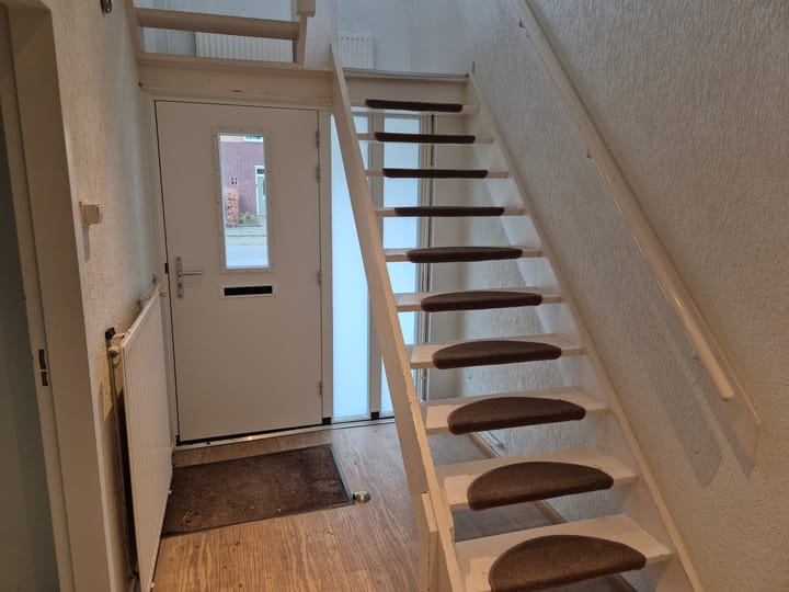 Foto 3 van Wollegrasstraat 13