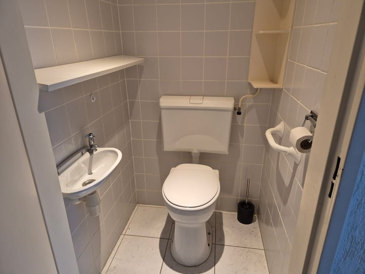 Foto 6 van Wollegrasstraat 13