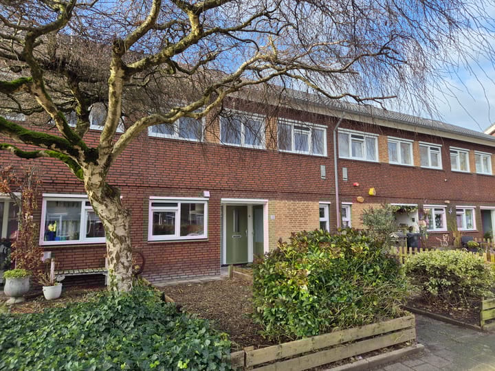 Foto 28 van Wollegrasstraat 13