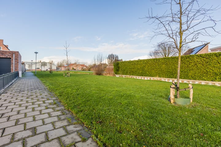 Foto 45 van Witvlas 19