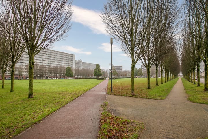 Foto 14 van Eisenhowerstraat 447