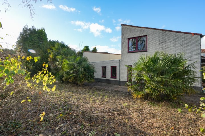 Foto 5 van Leuvensbroek 3311