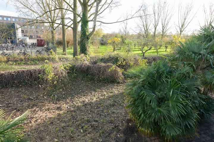 Foto 33 van Leuvensbroek 3311