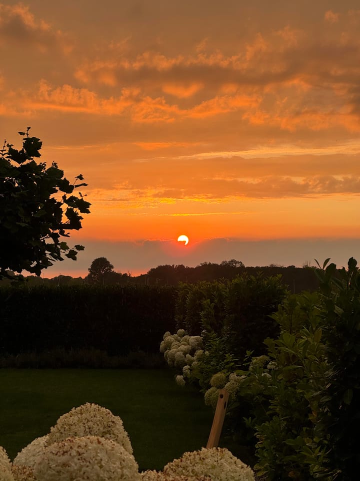 Foto 46 van Eindstraat 73