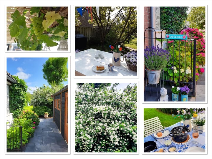 Foto 54 van Kerksingel 19