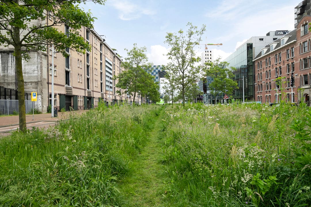 Photo 41 of Schiehavenkade 442