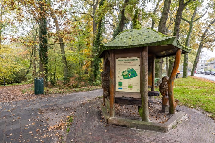 Foto 42 van Helper Brink 91