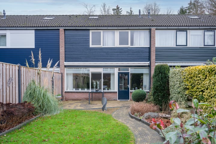 Foto 29 van Laan van de Bork 372