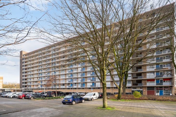 Foto 4 van Livingstonelaan 830