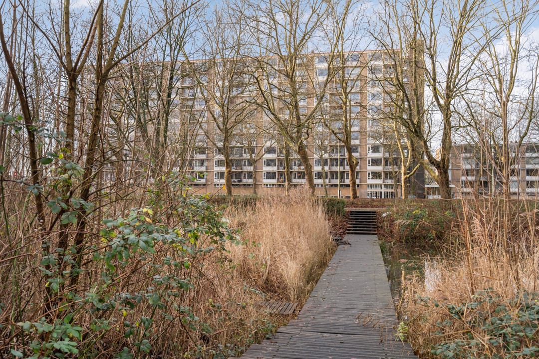 Photo 32 of Livingstonelaan 830