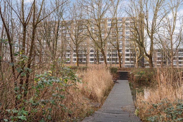 Foto 32 van Livingstonelaan 830