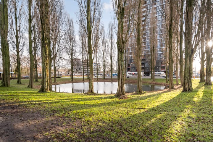 Foto 33 van Livingstonelaan 830