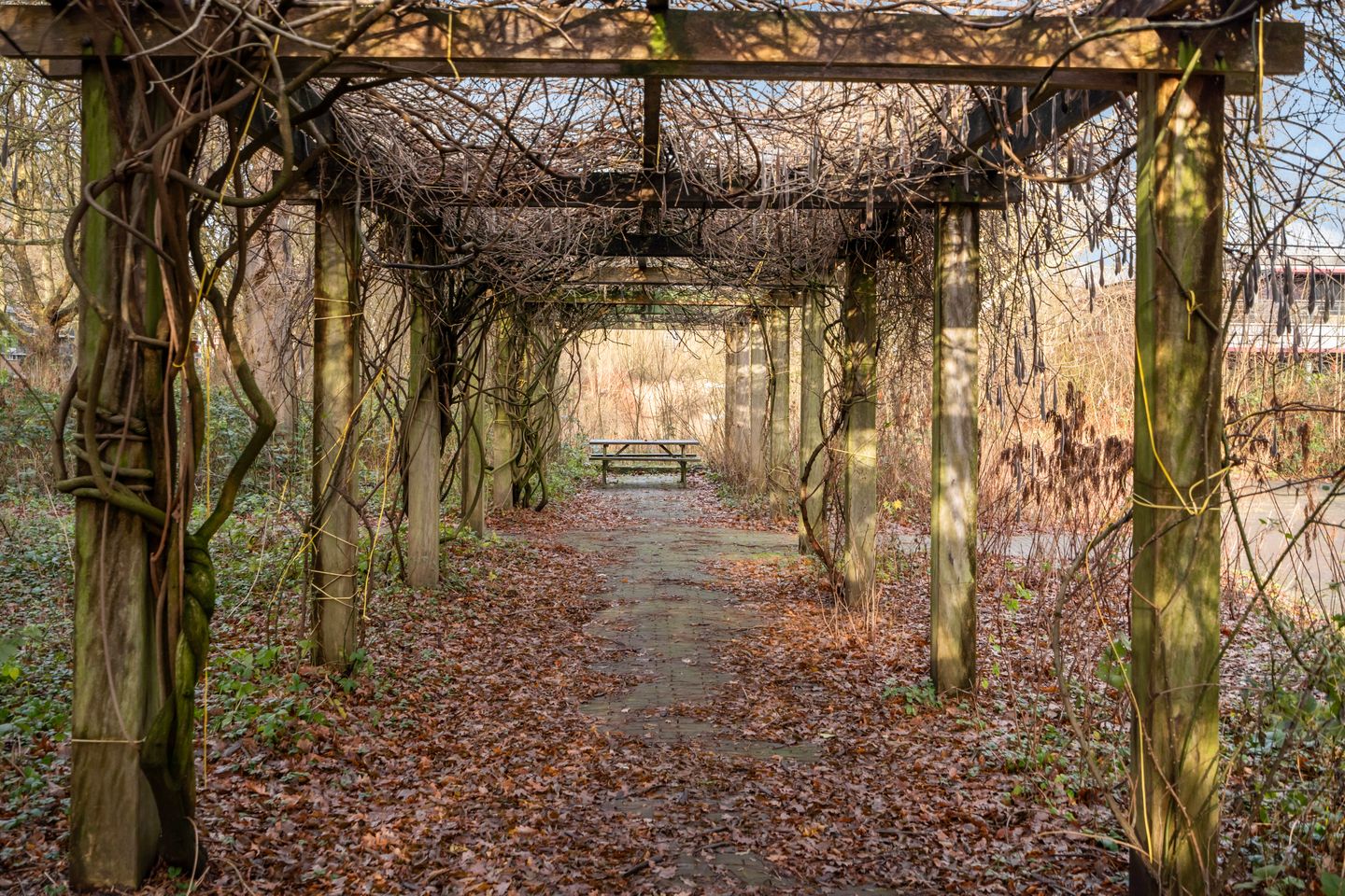 Photo 35 of Livingstonelaan 830