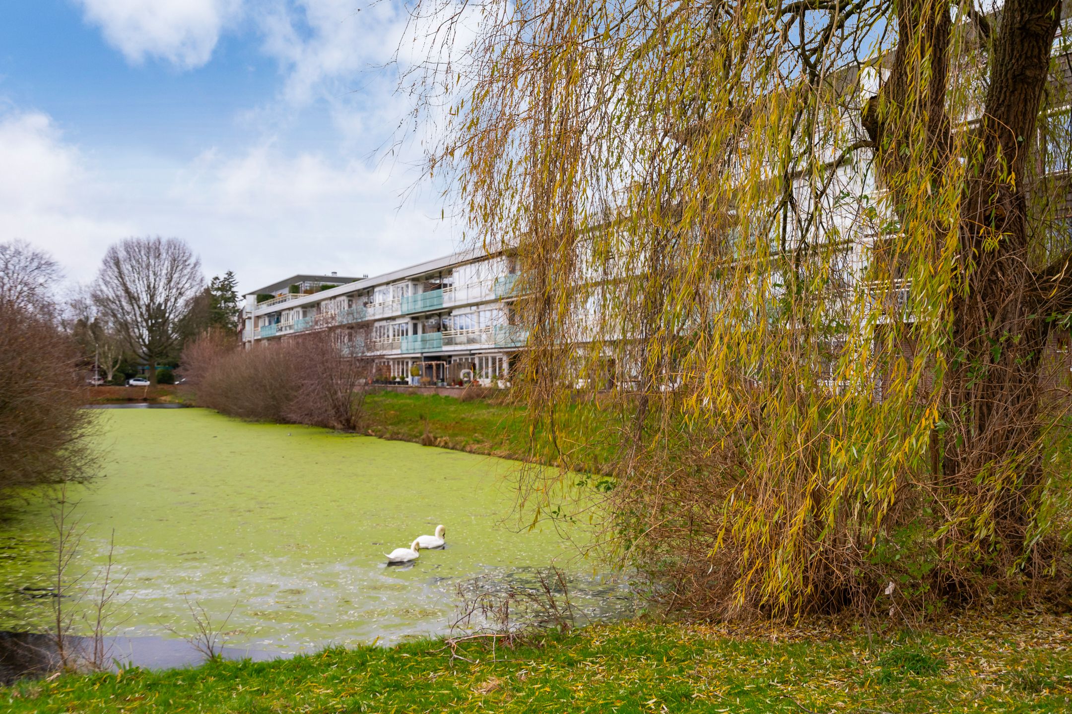 Foto 33 van Jagersdreef 71