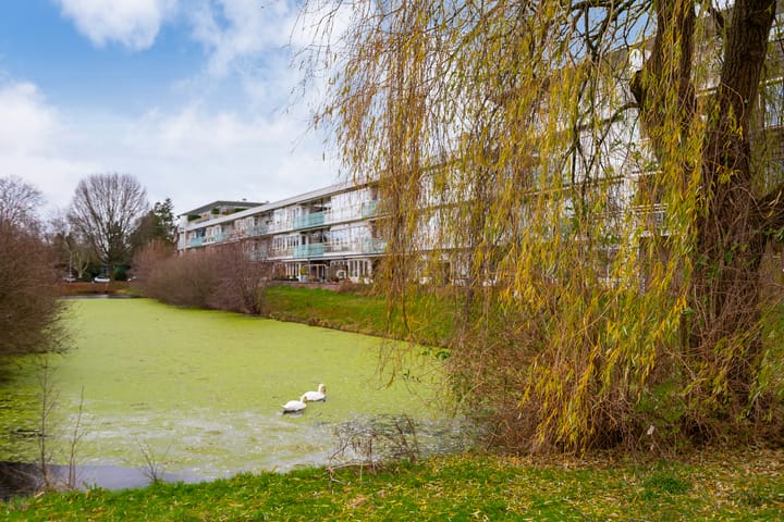 Foto 33 van Jagersdreef 71