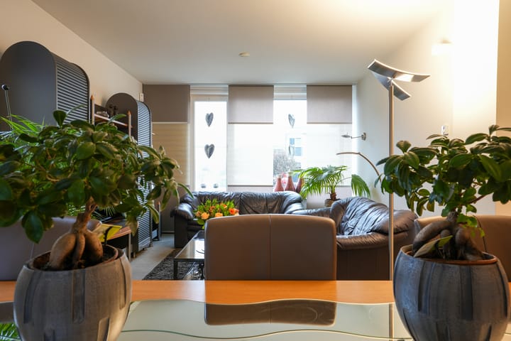 Foto 2 van Tuinstraat 16