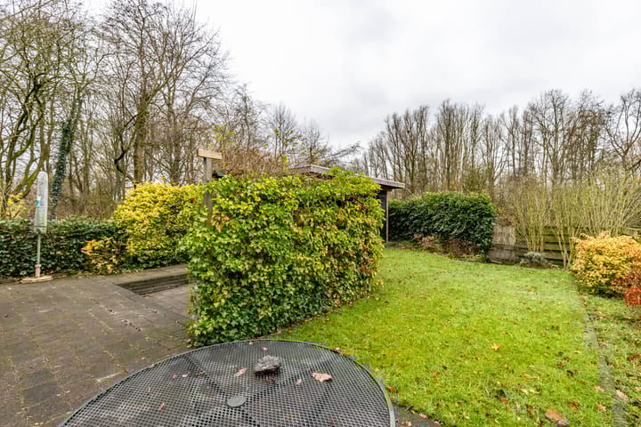 Foto 3 van Mudaheerd 135