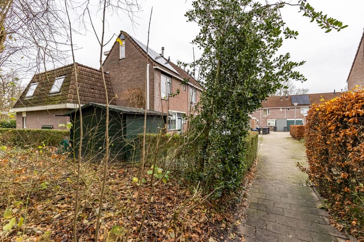 Foto 7 van Mudaheerd 135