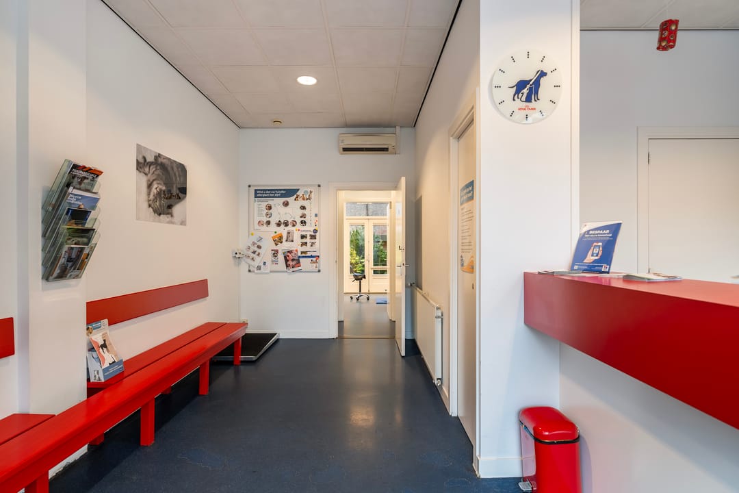 Photo 7 of Vondelstraat 256