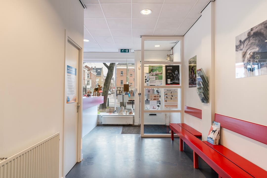 Photo 8 of Vondelstraat 256