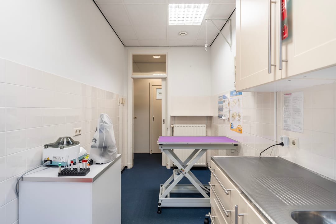 Photo 22 of Vondelstraat 256