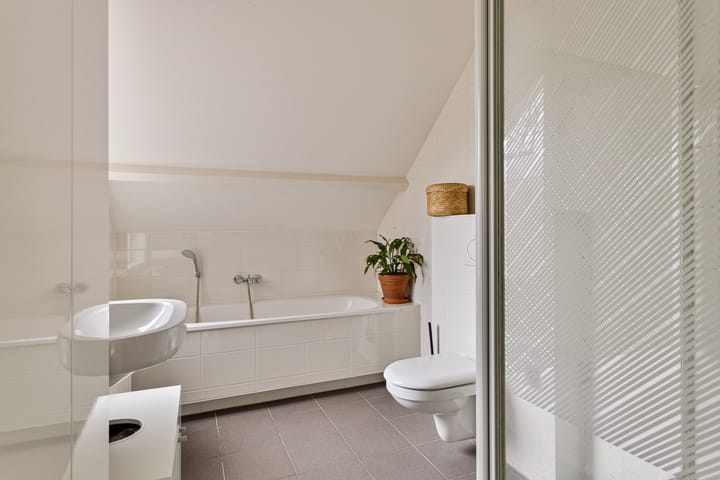 Foto 23 van Jan de Withof 70