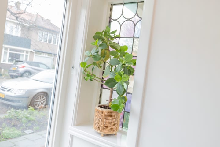 Foto 31 van Adriaan de Jongestraat 21