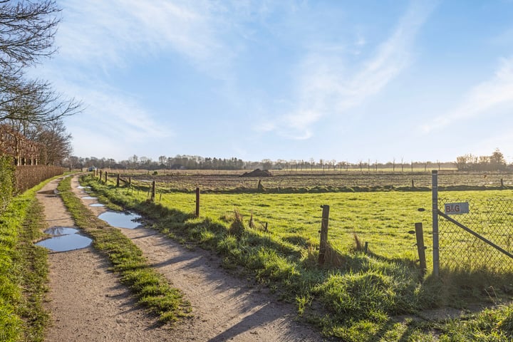 Bekijk foto 30 van Martenshofstede 17