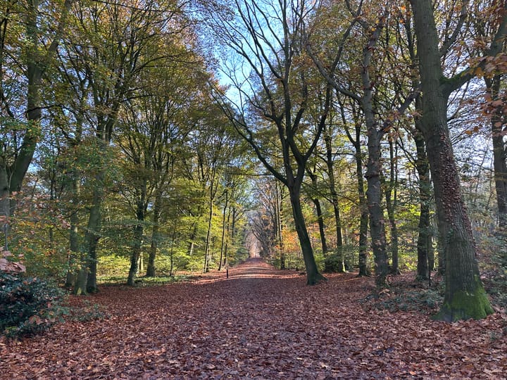 Foto 50 van Kijkduinlaan 5