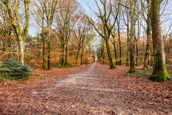 Foto 52 van Kijkduinlaan 5