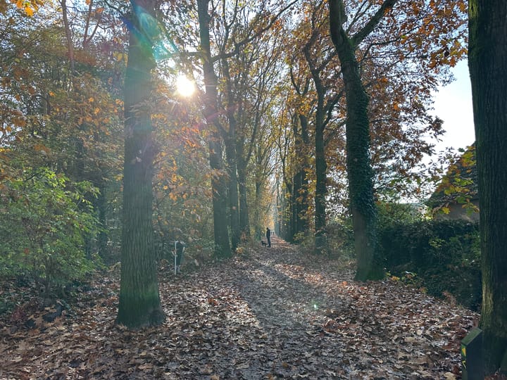 Foto 54 van Kijkduinlaan 5