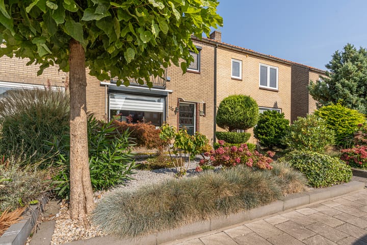 Foto 6 van B.W. ter Kuilestraat 270